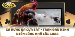 Gà Rừng Đá Cựa Sắt - Trận Đấu Kinh Điển Cùng Nhà Cái GO88