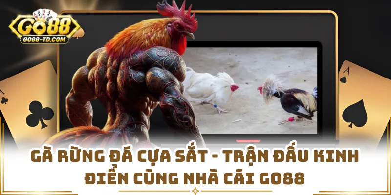 Gà Rừng Đá Cựa Sắt - Trận Đấu Kinh Điển Cùng Nhà Cái GO88