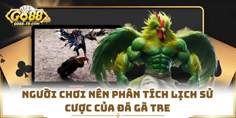 Người Chơi Nên Phân Tích Lịch Sử Cược Của Đá Gà Tre